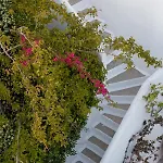 Andromeda Apart Otel Mykonos Town