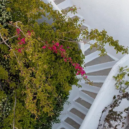 Andromeda Апарт-отель Mykonos Town