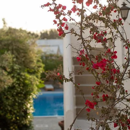 Aparthotel Andromeda 4*