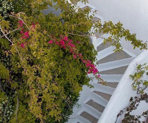 Andromeda Apartahotel Mykonos Town