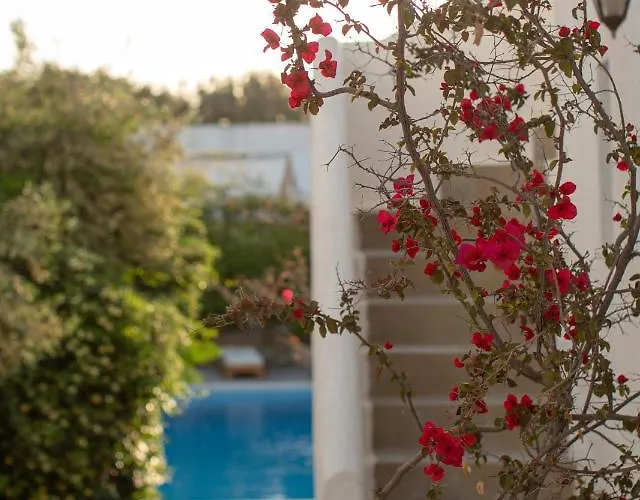 Apartahotel Andromeda 4*